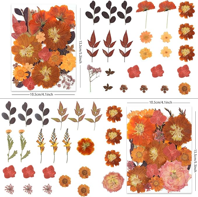 LUXEEASE 100P Autumn Dried Pressed Flowers, Warm Tone | Rust orange burgundy - Image 3