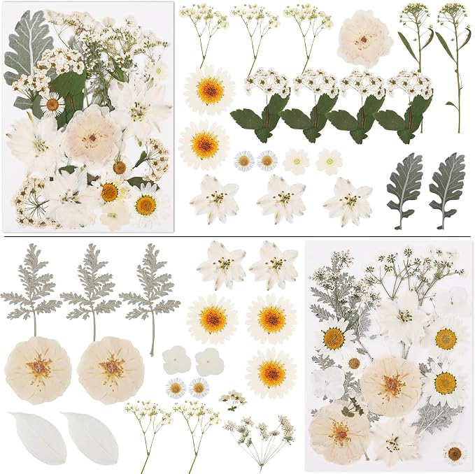 NESCCI 83 Pcs Dried Flowers for Crafts, Real Natural Dried Pressed Flowers in - Image 2