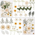 NESCCI 83 Pcs Dried Flowers for Crafts, Real Natural Dried Pressed Flowers in - Image 2