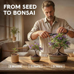 Bonsai Tree Kit Deluxe + Growing Light - Image 8