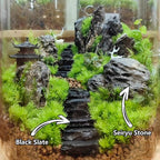Natural Rocks Seiryu Stone 1-2.5 Inches Decorative Rocks - Image 4
