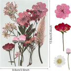 Woohome 4 Packs Real Pressed Flowers - Image 6