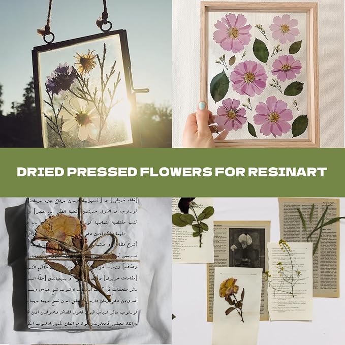 63 Pcs Dried Flowers for Resin | 21 Styles Pressed Leaves, Natural Dry Leaves - Image 4