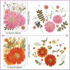 Nuanchu Dried Flower for Crafts Resin Pressed Flowers Bulk, Large Real Dried - Image 4