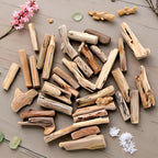 20 Pcs Natural Driftwood Pieces Branch Slices Craft Sticks Beach Decor - Image 6