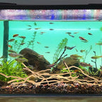 Hamiledyi Natural Driftwood for Aquarium Decor - Image 3
