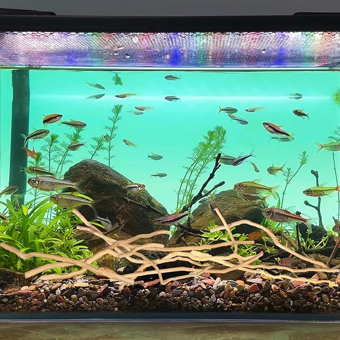 Hamiledyi Natural Driftwood for Aquarium Decor - Image 3