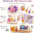 210 pcs Dried Flowers for Resin, Natural Flowers and Leaves Kit - Image 7