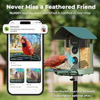 Kiwibit Smart Bird Feeder with Camera Solar Powered, 4K Video Live Stream - Image 4