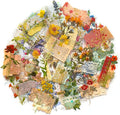 180PCS Gold Foil Vintage Botanical Flower Scrapbook Stickers, Craft Supplies by YOKSAS