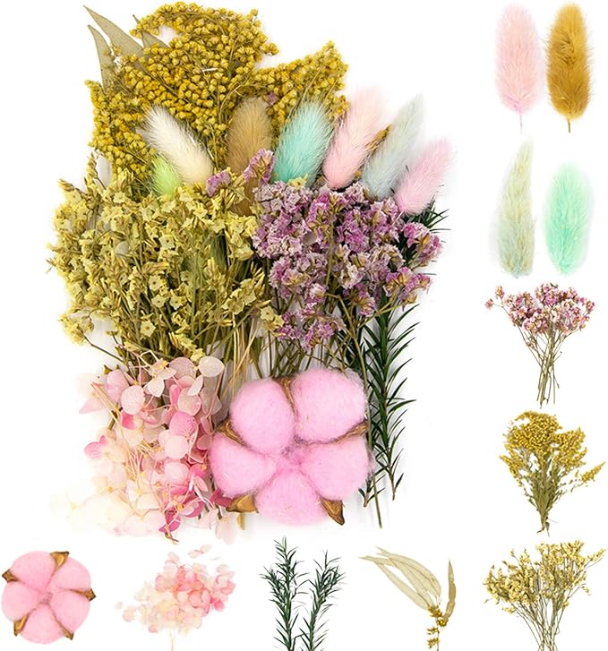 Vignee Real Dried Pressed Leaf Flowers-Multiple Colorful Pressed Flowers Daisies by Vignee