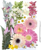 A4 Large Dried Pressed Flowers for Resin Real Dry Natural Flowers Leaves for by ZQmino