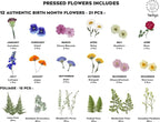 Twodays Birth Flower Mother's Day Craft Kit - Image 4