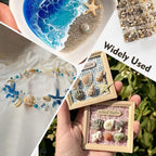 Small Sea Shells 1200Pcs Tiny Seashells Mixed Size Ocean Beach Starfish - Image 7