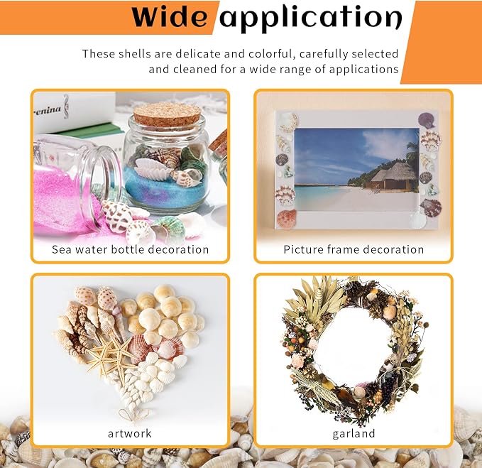 WEOXPR 200 Pcs Sea Shells Bulk Mixed Ocean Beach Seashells - Image 6