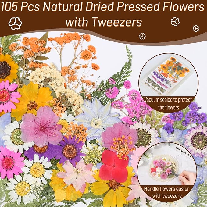Dried Pressed Flowers for Resin, Real Pressed Flowers Dry Leaves Bulk Natural - Image 4