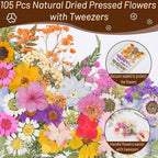 Dried Pressed Flowers for Resin, Real Pressed Flowers Dry Leaves Bulk Natural - Image 4