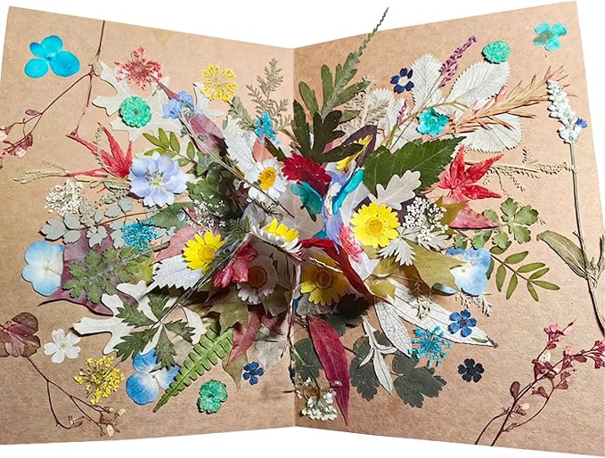 Woohome 78PCS Natural Dried Pressed Flowers and Natural Dried Pressed Leaves - Image 8