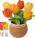 kgxulr Crochet Kit for Beginners, Crochet Kit Beginner Crochet Starter Kit for by kgxulr