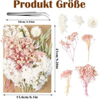 Real Dried Flowers, Natural Dry Flowers Mixed Natural Pressed Flowers Flores - Image 4