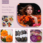 92 Pcs Dried Pressed Flowers Fruits - Image 3