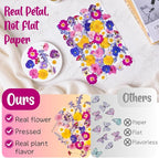 70 Pcs 11kinds Edible Dried Pressed Flowers - Image 6