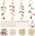 HOMAR 223Pcs DIY Keychain Making Kit Bag Charm Jewelry Chain Making 86 Charms by HOMAR