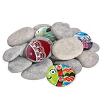 DALTACK 15 Pcs Large Rocks for Painting, Natural River Rocks, Flat River Rocks by DALTACK