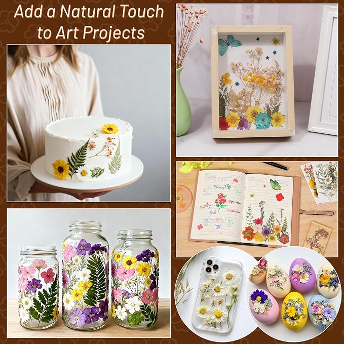 Dried Pressed Flowers for Resin, Real Pressed Flowers Dry Leaves Bulk Natural - Image 5
