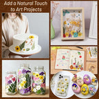 Dried Pressed Flowers for Resin, Real Pressed Flowers Dry Leaves Bulk Natural - Image 5