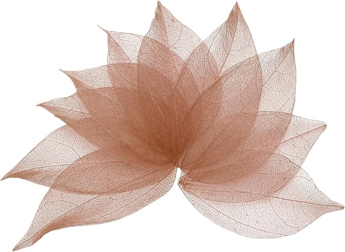 uxcell 100 Pcs Dark Coffee Skeleton Leaves by uxcell