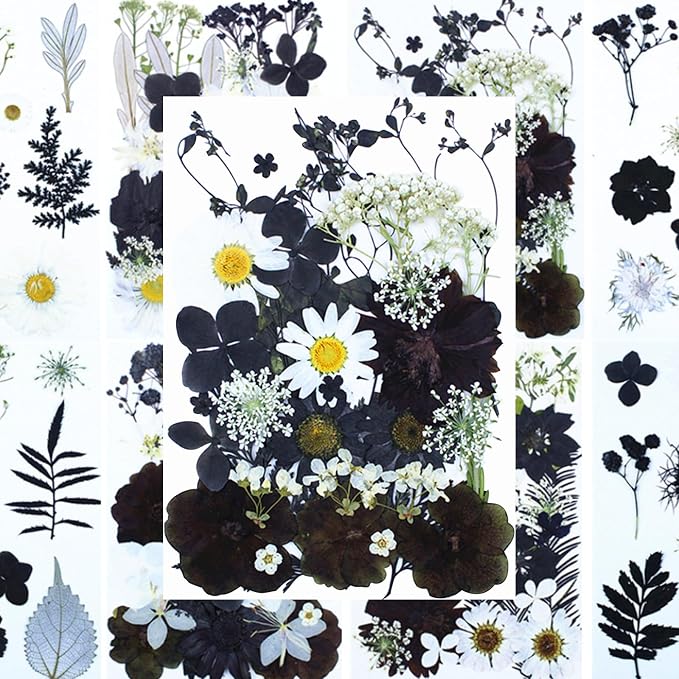 30Pcs Dried Pressed Flowers for Resin DIY Art Crafts Natural Dry Floral Daisy - Image 3