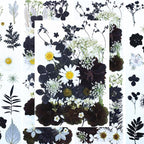 30Pcs Dried Pressed Flowers for Resin DIY Art Crafts Natural Dry Floral Daisy - Image 3