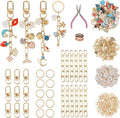 Starry 223Pcs Keychain Making Kit Bag Charm Kit 86 Charms 10 Keychain Clips by Unknown