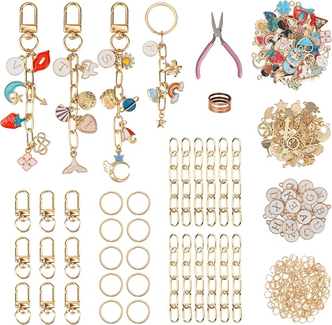 Starry 223Pcs Keychain Making Kit Bag Charm Kit 86 Charms 10 Keychain Clips by Unknown