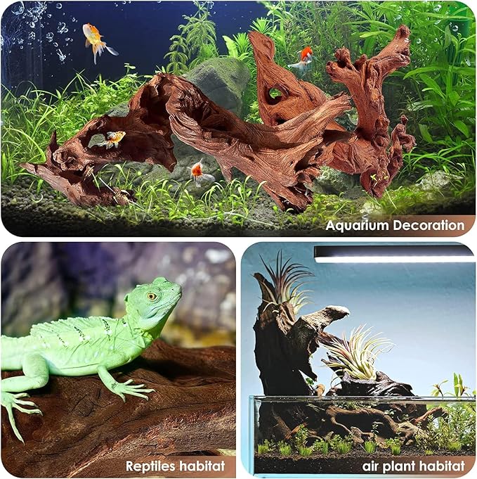 Azil Natural Driftwood 9''-12'' – Perfect Aquarium Decoration - Image 7