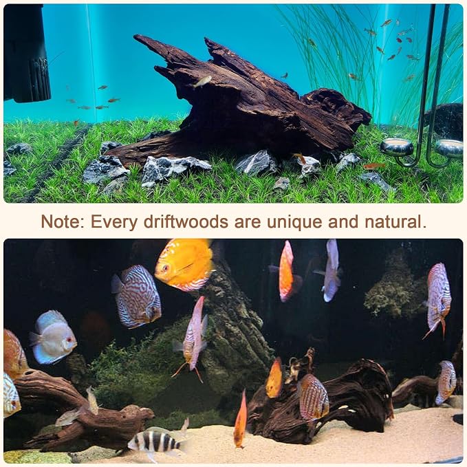 LYPHARD AQUARIUMS Natural Driftwood - Image 2