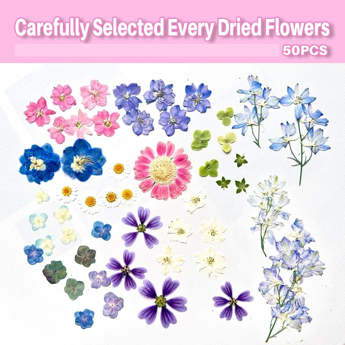 A4 Large Dried Pressed Flower for Resin Real Dry Natural Flowers Leaves for - Image 3