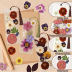344 Pcs Pressed Flower Bookmark Making Kit | 50 Laminating Pouches - Image 5