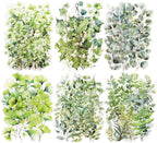 120 Pcs Botanical Leaf PET Stickers by Auriicleaf
