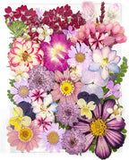 18 Types 37pcs Purple Dried Pressed Flowers by YouthBro