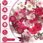 100 Pcs Dried Pressed Flowers, Real Natural Dried Wildflowers Leave - Image 3