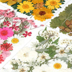 110+PCS Pressed Flowers for Resin Molds, Colorful-A | Real Dried Flower Leaves - Image 4