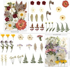 LUXEEASE 80P Vintage Pastel Dried Pressed Flowers | Soft retro pastels - Image 3