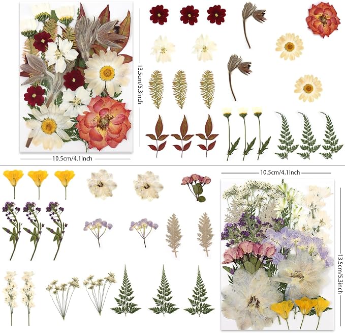 LUXEEASE 80P Vintage Pastel Dried Pressed Flowers | Soft retro pastels - Image 3