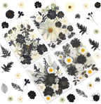 LUXEEASE 90P Halloween Black & White Dried Pressed Flowers | Gothic elegant by LUXEEASE