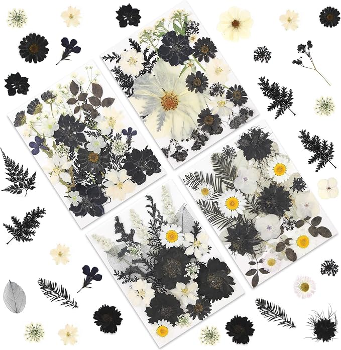 LUXEEASE 90P Halloween Black & White Dried Pressed Flowers | Gothic elegant by LUXEEASE