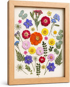 Assorted Dried Flower Petals and Leaves Set - Image 7
