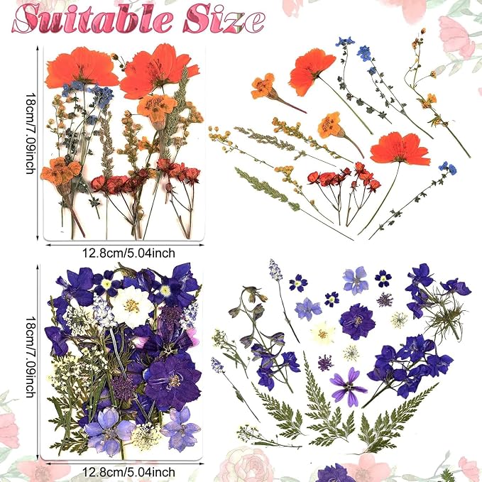 Nuanchu Dried Flower for Crafts Resin Pressed Flowers Bulk Dried Wildflowers - Image 4