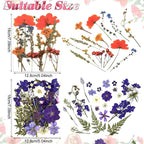 Nuanchu Dried Flower for Crafts Resin Pressed Flowers Bulk Dried Wildflowers - Image 4
